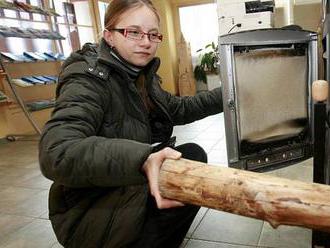 Kdo topí dřevem, ušetří až tisíce korun. Kvůli kůrovci