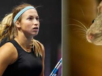 Australian Open: Players told not to feed mice while in Covid quarantine