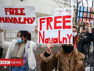 Navalny protests: Russia threatens TikTok with fines over protest posts