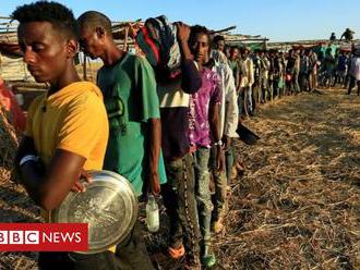 Ethiopia Tigray crisis: Fear of mass starvation