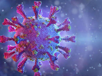 Juhoafrický variant koronavírusu je o 50 percent nákazlivejší, potvrdili experti