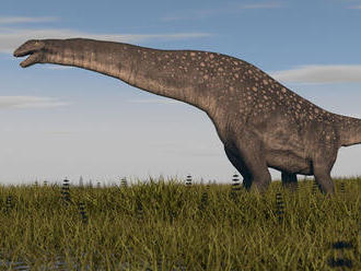 Vedci našli fosíliu zrejme najväčšieho tvora, ktorý kedy žil