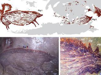 Archeológovia objavili najstaršiu jaskynnú maľbu. Červené prasa má 45 tisíc rokov