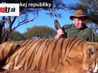 Meno muža, ktorý si z Afriky nelegálne doviezol tigra, je známe: Podnikateľ s MEGApodvodmi na krku!