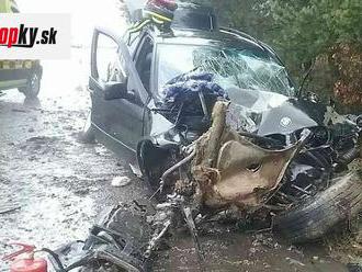 FOTO Hrozivá nehoda pri Žiari nad Hronom: Auto napálilo do stromu, sedeli v ňom aj tri deti