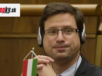 Členovia maďarskej vlády nebudú zaočkovaní proti KORONAVÍRUSU prednostne, hovorí Gulyás