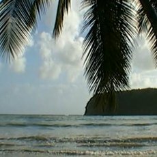 Cestománie - Grenada: S vůní muškátového oříšku