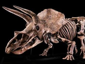 V Paríži vydražili fosíliu triceratopsa za 5,5 milióna eur