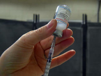Skupina senátorů se rozhodla podat ústavní stížnost proti povinnému očkování