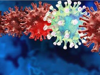 Čo vieme o variantoch koronavírusu. Čím sa líši delta od omicronu?