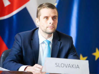 Slovensko by mohlo dostať 100-tisíc vakcín od Francúzska