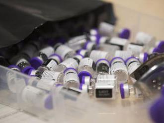 Ľuďom po prekonaní nákazy by mohla stačiť jedna dávka vakcíny, naznačila štúdia