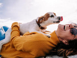 Výskum: Väčšina majiteľov psov by za svojho miláčika riskovala život