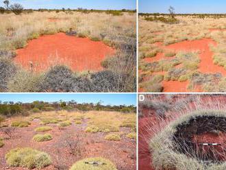 Juhoafrickí vedci odhalili pôvod záhadných kruhov v púšti