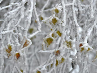Zima v Klementinu patřila k těm teplejším, v průměru bylo 2,6 st.