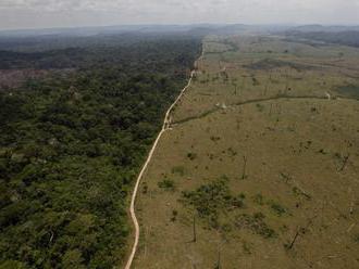 Ničenie ďaždových pralesov sa zrýchlilo napriek pandémii
