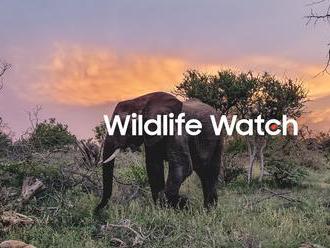 Samsung Wildlife Watch - staňte sa virtuálnymi ochrancami zvierat v africkom buši