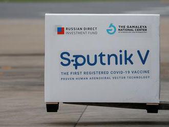 Vakcína Sputnik V by mohla do Česka dorazit do konce března. Zatím 20 tisíc dávek, pokud bude zájem