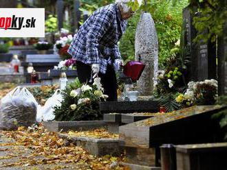 O návrhu národného cintorína v Bratislave má plénum rozhodnúť až v máji