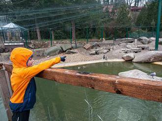Zoo v Plzni přivítala první návštěvníky. Rodiče vyrazili koupit dětem boty