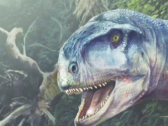 Vedci v Argentíne našli dobre zachovalú lebku mäsožravého dinosaura