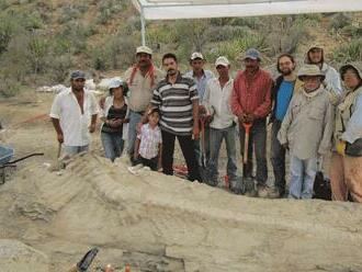 V Mexiku identifikovali nový druh dinosaura Tlatolophus galorum