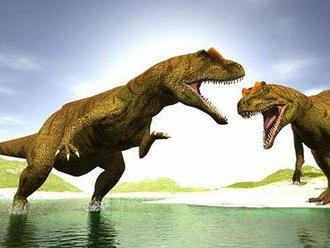 Tyranosaury možno žili vo svorkách ako vlci, uvádzajú paleontológovia