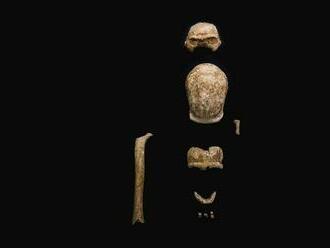 Archeológovia neďaleko Ríma objavili pozostatky deviatich neandertálcov