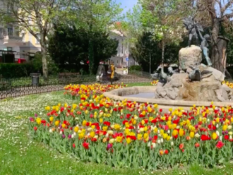 Video: Hlavné mesto kvitne! Ako vyzerá jar v Bratislave?