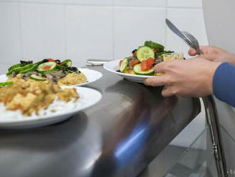 NR SR neprijala úpravu zvýšenia prídavku na dieťa a obedov zadarmo