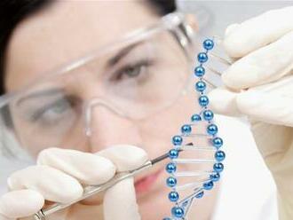 Vedci oznámili, že dokončili úplné sekvenovanie ľudského genómu