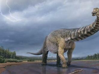 Austrálski vedci identifikovali nový druh dinosaura