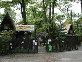 Hodonínská zoo po tornádu znovu otevře v sobotu
