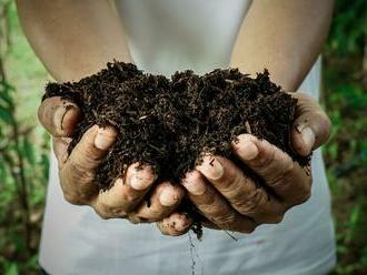 Proč si založit na zahradě kompost?