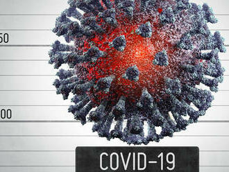 Koronavírusová epidémia vypukla vo východnej Ázii už pred 20 000 rokmi