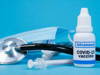 Zverejnili prvé výsledky testov proticovidovej vakcíny v nosnom spreji