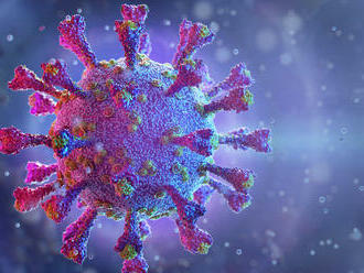 Koronavírusom sa v roku 2020 mohla nakaziť zhruba tretina Američanov