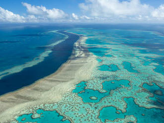 Vláda chce zlepšiť zdravotný stav Veľkej koralovej bariéry, na jej záchranu investuje miliardu austrálskych dolárov