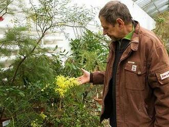 OBRAZEM: Botanická zahrada se chlubí pozdravy od protinožců
