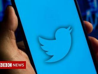How Nigeria succeeded in clipping Twitter's wings