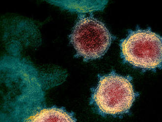 Vedci z Wu-chanu objavili potenciálne nebezpečnejší variant koronavírusu