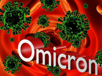 Omikron môže uniknúť protilátkam, avšak neujde T-lymfocytom