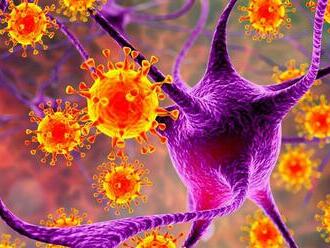 Harvardskí vedci odhalili pravdepodobnú príčinu sklerózy multiplex