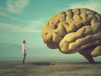 Mozog je fascinujúci orgán. Ako zariadiť, aby fungoval?
