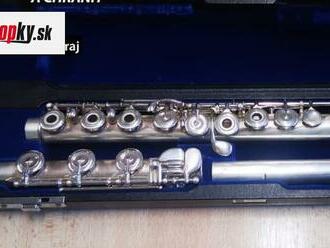 Muž cez inzerát predával flautu nájdenú vo vlaku: Teraz mu hrozí väzenie