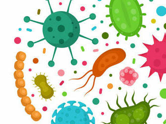 Vedci vďaka počítačovému programu pomenovali 65 000 nových mikroorganizmov