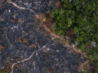 Amazonský prales postihol v septembri najvyšší počet požiarov za 12 rokov