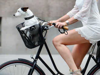 Ako si vybrať bicykel do mesta aj na turistiku?