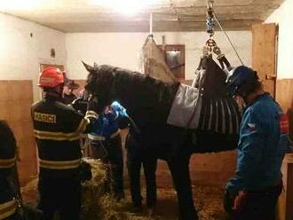 Kůň z Nosislavi se nemohl postavit na nohy. Zachraňovali ho hasiči
