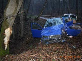 Vodič Fabie vrazil pri Revúcej do stromu, nehodu neprežil nikto  